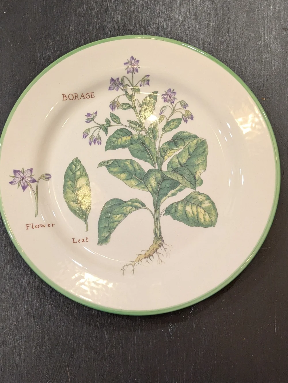 Williams Sonoma set williams